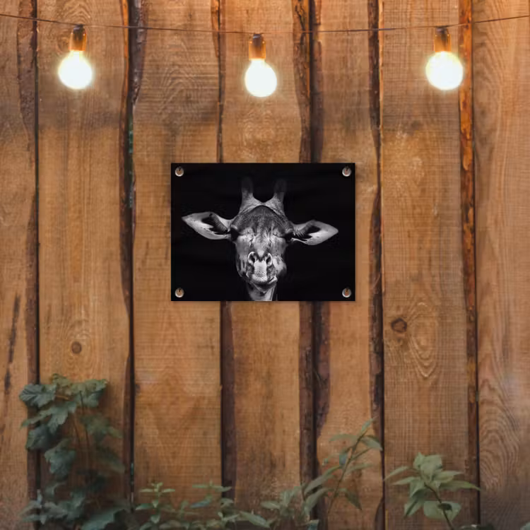 Giraffe - Portret - Dieren - Zwart - Wit tuinposter los doek klein -sfeer1