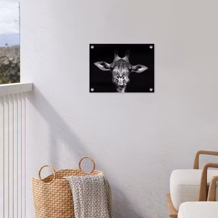 Giraffe - Portret - Dieren - Zwart - Wit tuinposter los doek klein -sfeer8