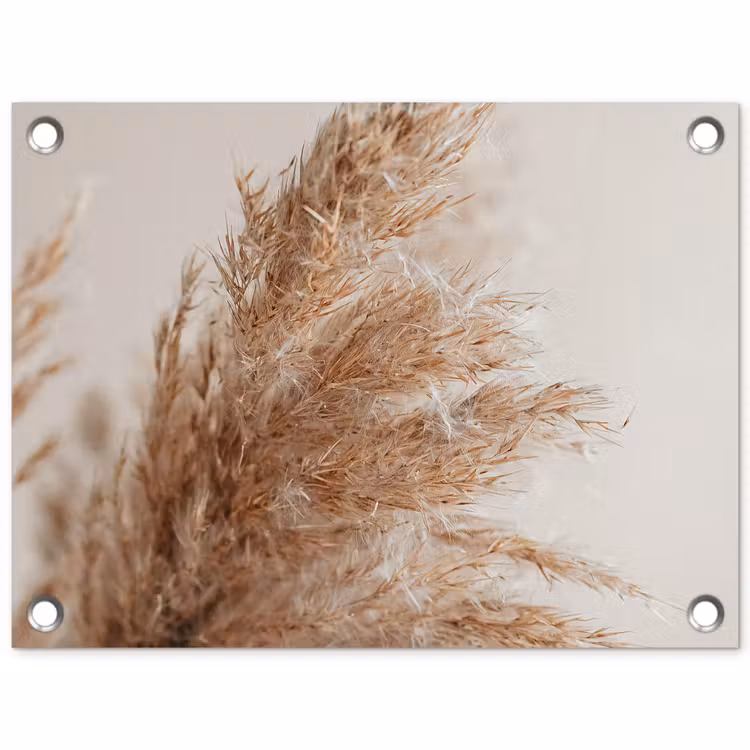 Gras - Planten - Natuur - Pampasgras tuinposter los doek klein -3d
