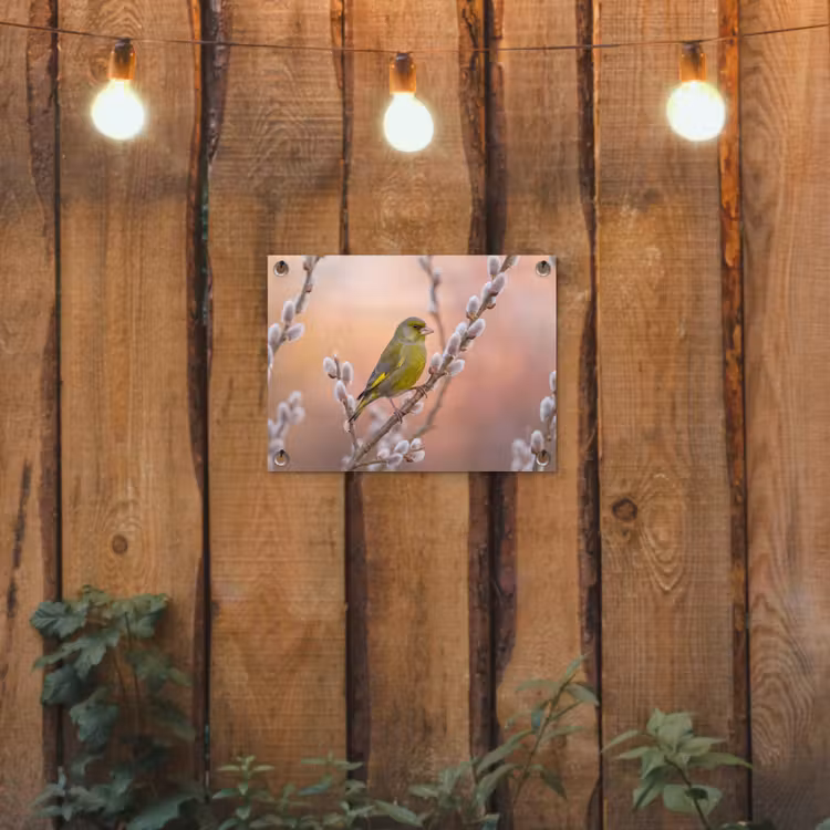 Groenling - Katjes - Lente - Natuur - Zacht tuinposter los doek klein -sfeer1