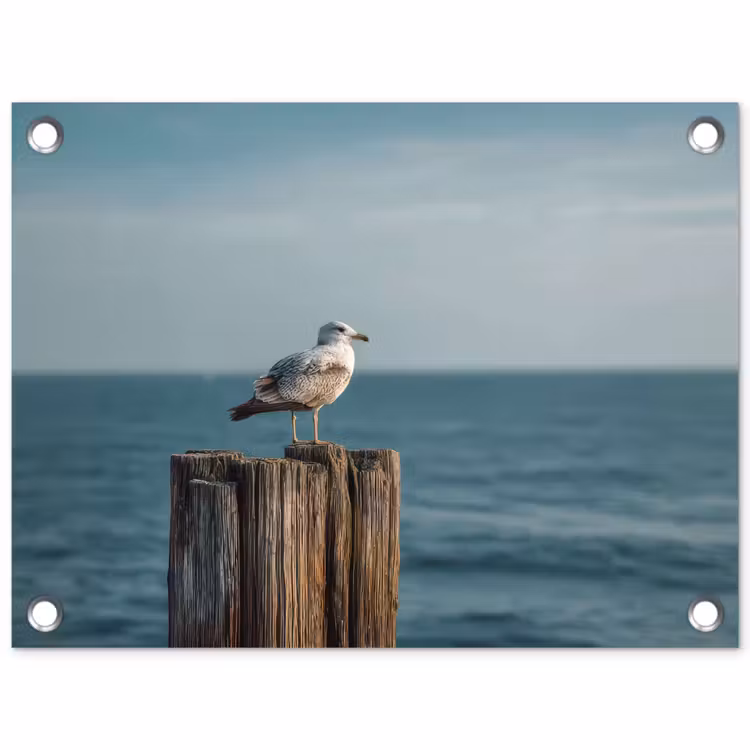 Meeuw - Paal - Zee tuinposter los doek klein -3d