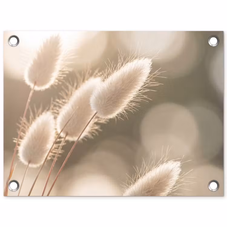 Hazestaartgras - Wit - Zonlicht tuinposter los doek klein -3d