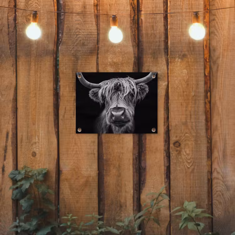 Hooglander in Zwart-Wit tuinposter los doek klein -sfeer1