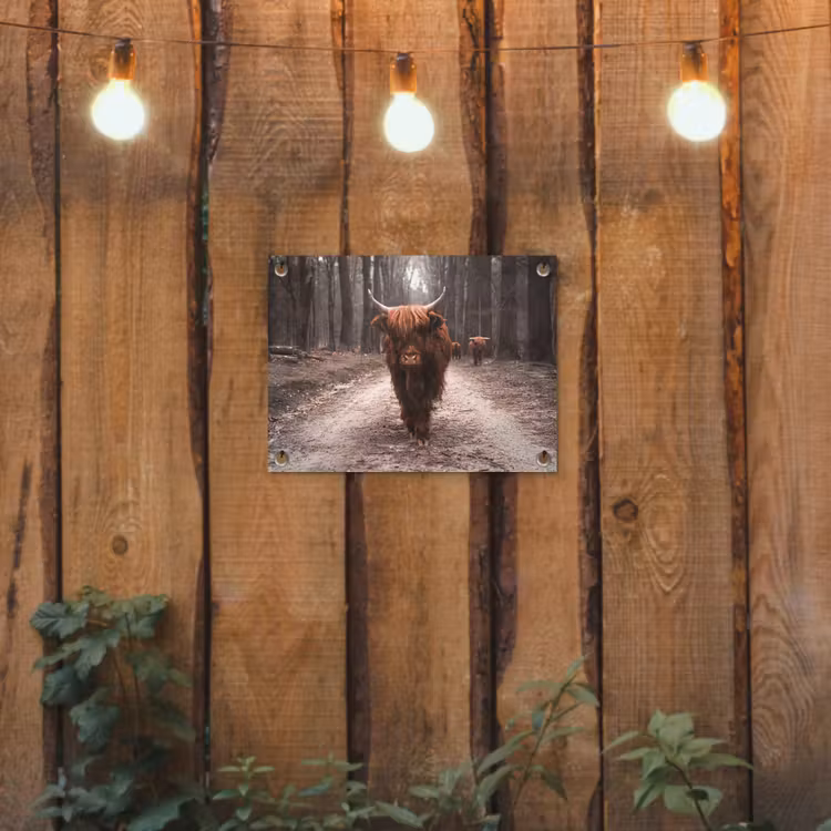 Hooglander in het Bos tuinposter los doek klein -sfeer1