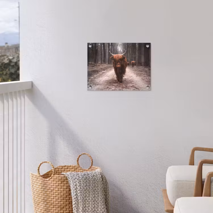 Hooglander in het Bos tuinposter los doek klein -sfeer8