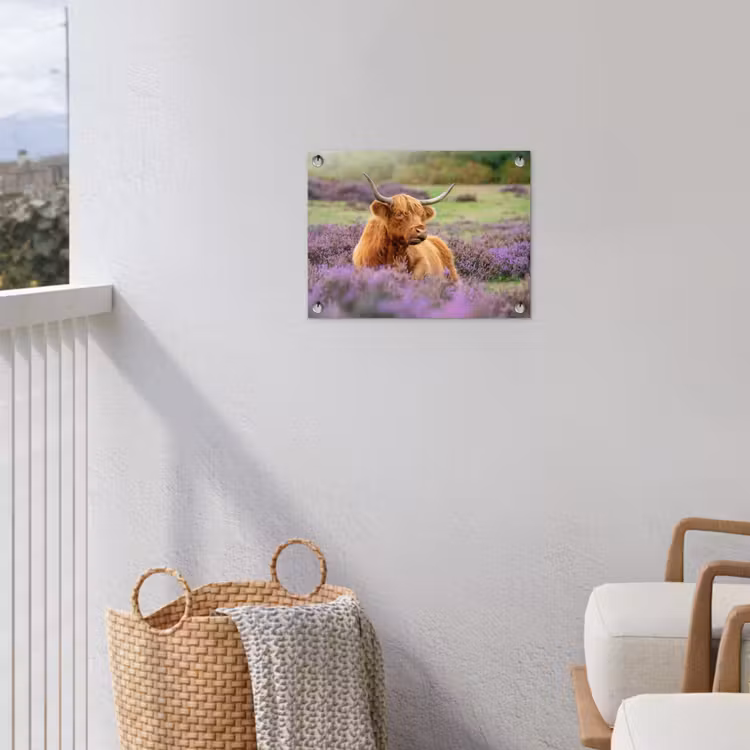 Hooglander in de Heide tuinposter los doek klein -sfeer8