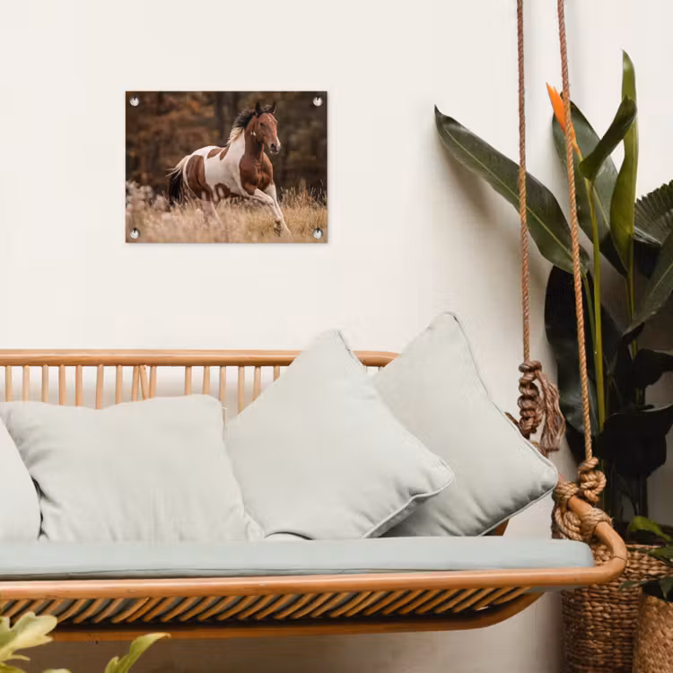 Paard - Bruin - Gras tuinposter los doek klein -sfeer7