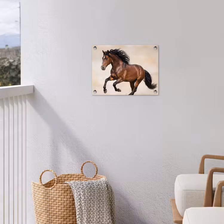 Paard - Galop - Energie tuinposter los doek klein -sfeer8
