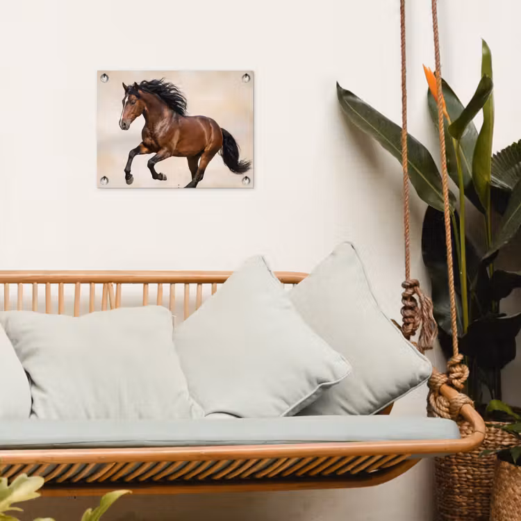 Paard - Galop - Energie tuinposter los doek klein -sfeer7