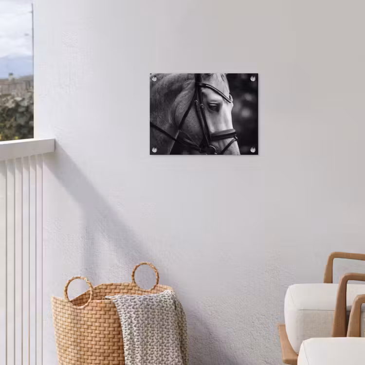 Paard - Schimmel - Portret tuinposter los doek klein -sfeer8