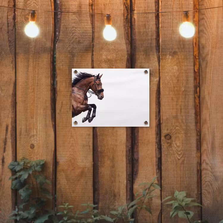 Paard - Springen - Modern tuinposter los doek klein -sfeer1
