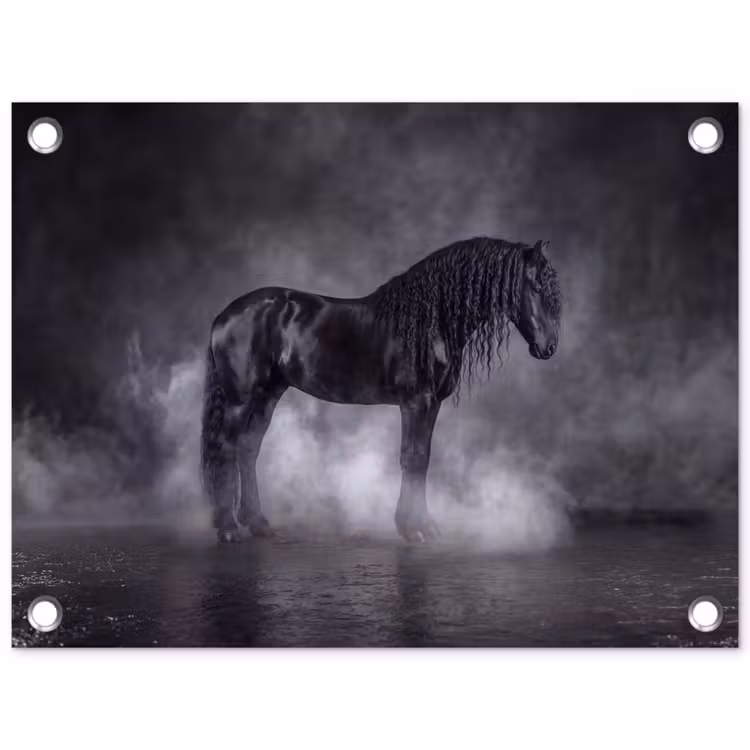 Paard - Magisch - Zwart tuinposter los doek klein -3d