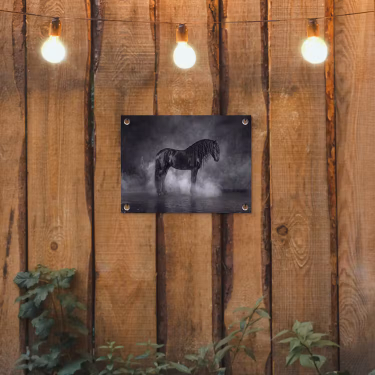 Paard - Magisch - Zwart tuinposter los doek klein -sfeer1
