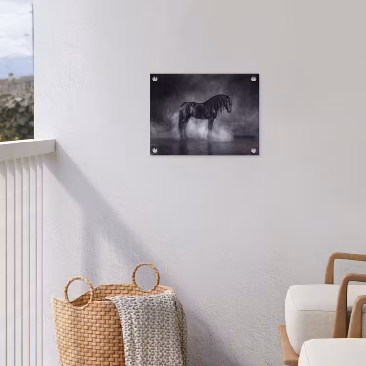 Paard - Magisch - Zwart tuinposter los doek klein -sfeer8
