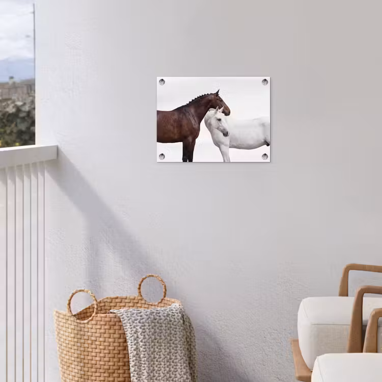 Paard - Modern - Balans tuinposter los doek klein -sfeer8