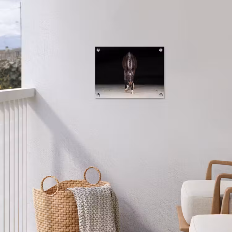 Paard - Modern - Portret tuinposter los doek klein -sfeer8