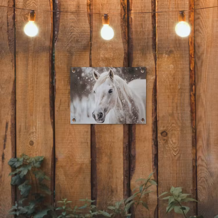 Paard - Wit - Winter - Natuur - Sneeuw - Dieren tuinposter los doek klein -sfeer1