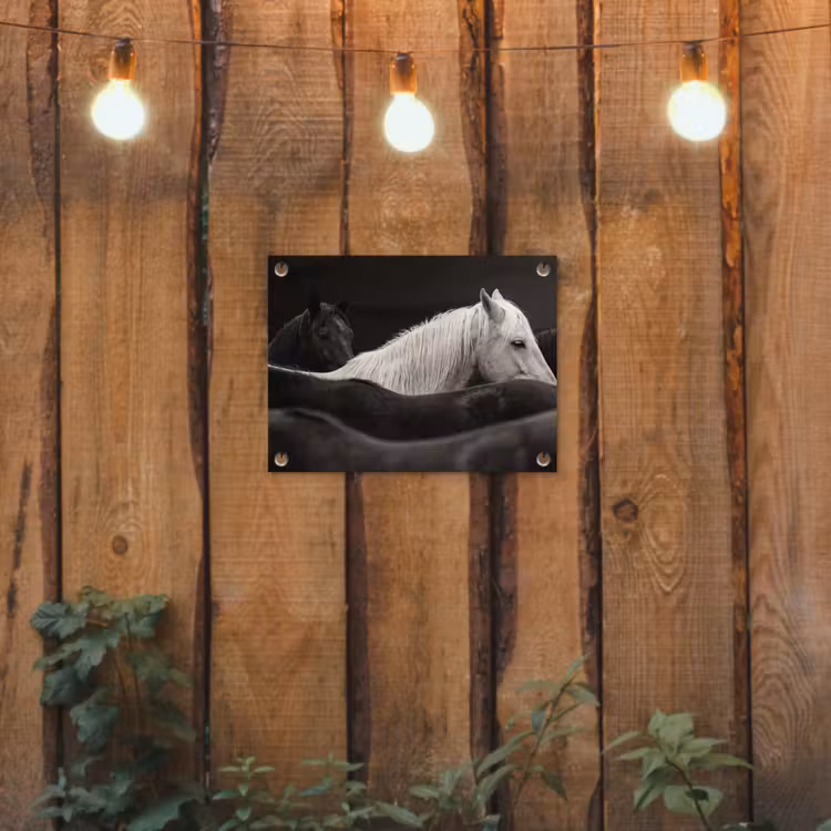 Paarden - Zwart - Wit - Kudde tuinposter los doek klein -sfeer1