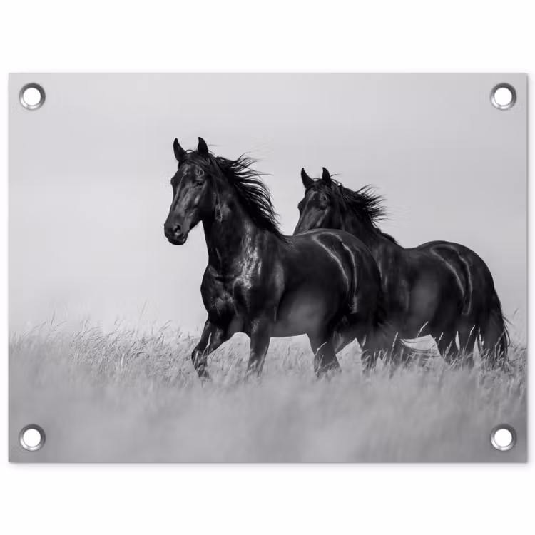 Paarden - Gras - Zwart - Wit tuinposter los doek klein -3d