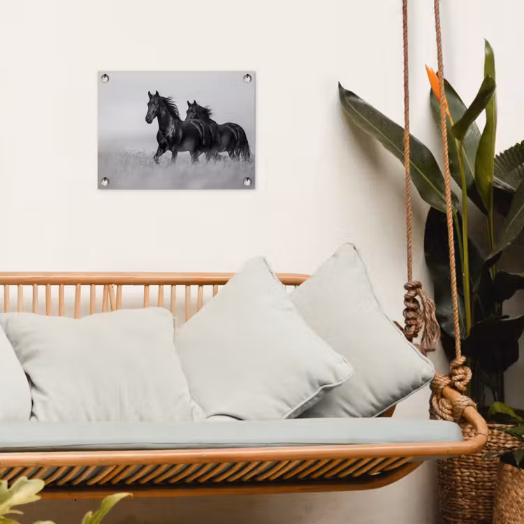 Paarden - Gras - Zwart - Wit tuinposter los doek klein -sfeer7