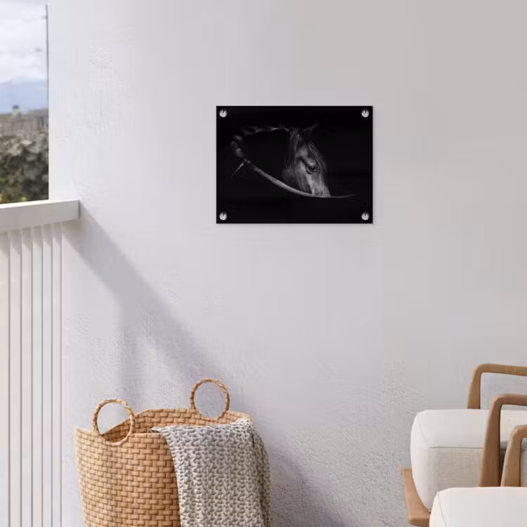 Paarden - Portret - Zwart - Dieren tuinposter los doek klein -sfeer8