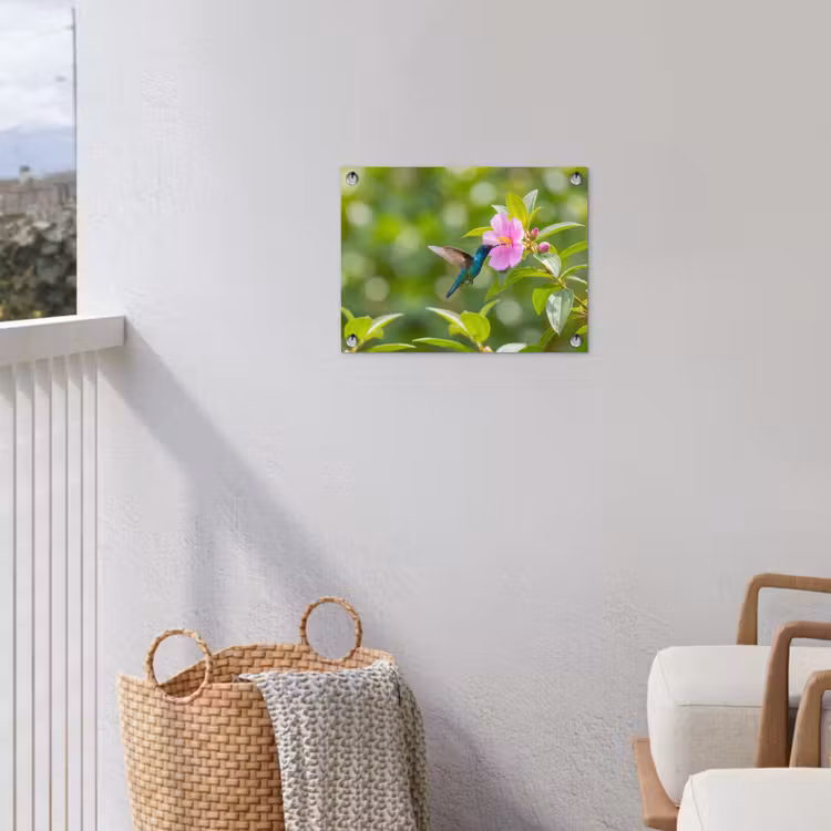 Kolibrie - Bloem - Natuur - Groen tuinposter los doek klein -sfeer8