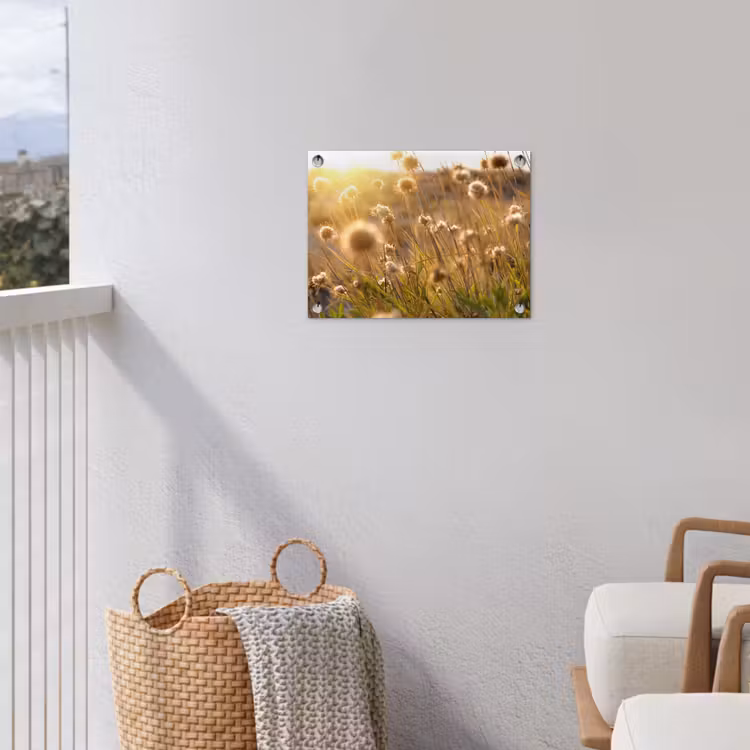 Verlichte zaadhoofden in de avondzon tuinposter los doek klein -sfeer8