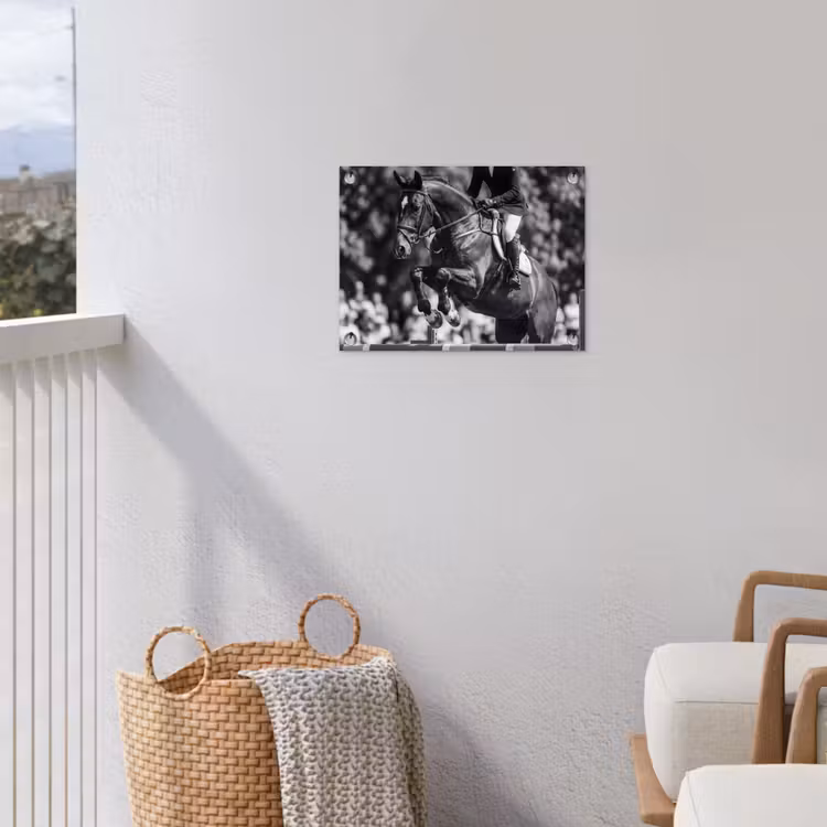 Springen - Paard - Zwart - Wit tuinposter los doek klein -sfeer8