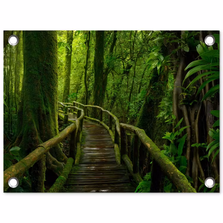 Jungle - Brug - Mos - Natuur - Tropisch tuinposter los doek klein -3d