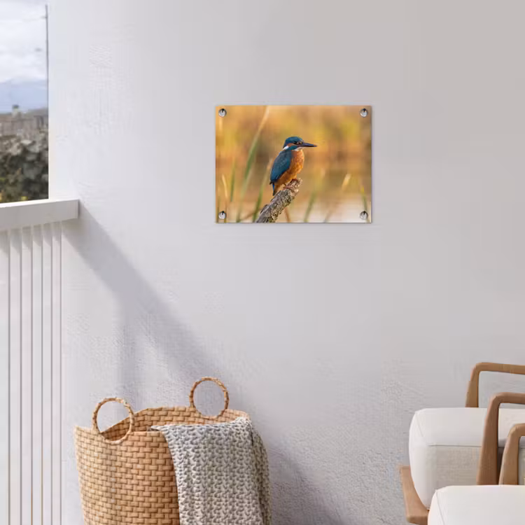 IJsvogel - Tak - Water - Kleurrijk - Levendig tuinposter los doek klein -sfeer8