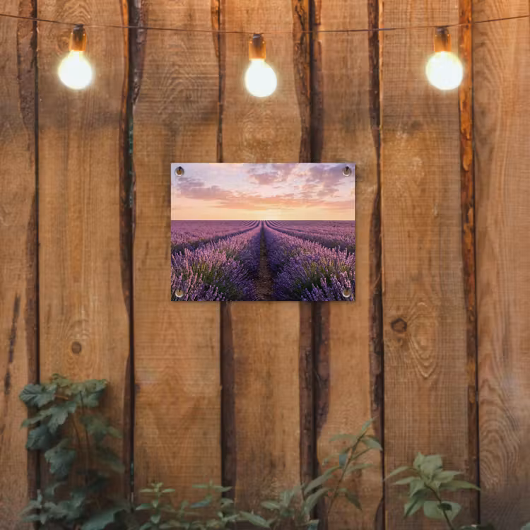 Landschap - Lavendelveld - Paars tuinposter los doek klein -sfeer1