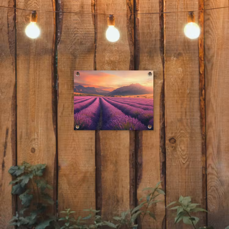 Lavendelveld - Zonsondergang - Paars tuinposter los doek klein -sfeer1