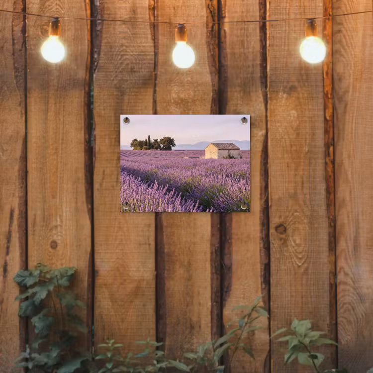 Lavendel - Landschap - Sereen - Paars tuinposter los doek klein -sfeer1