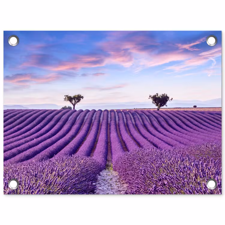 Lavendel - Natuur - Paars - Bomen - Bloemen tuinposter los doek klein -3d