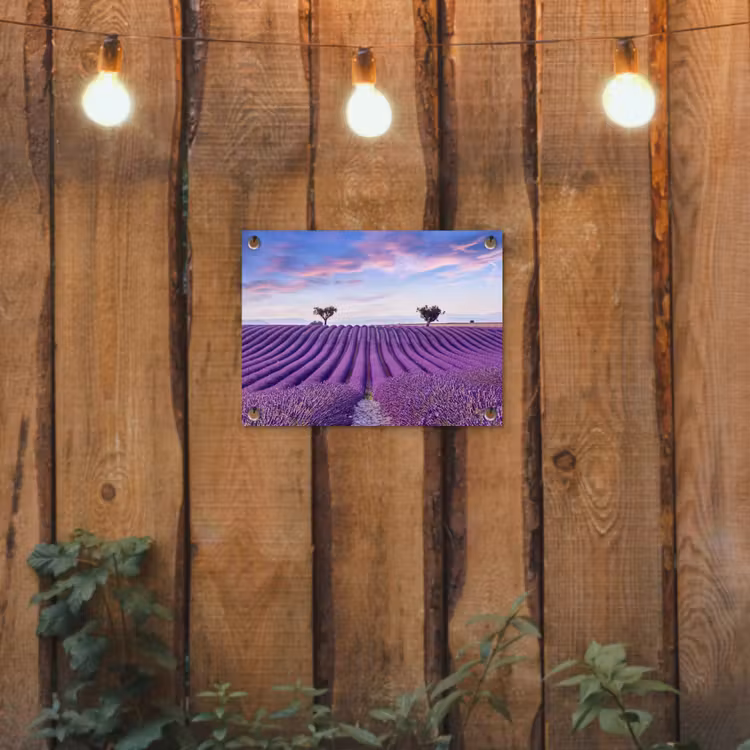 Lavendel - Natuur - Paars - Bomen - Bloemen tuinposter los doek klein -sfeer1