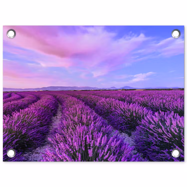 Lavendel - Paars - Bloemen - Natuur tuinposter los doek klein -3d