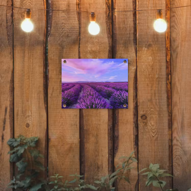 Lavendel - Paars - Bloemen - Natuur tuinposter los doek klein -sfeer1