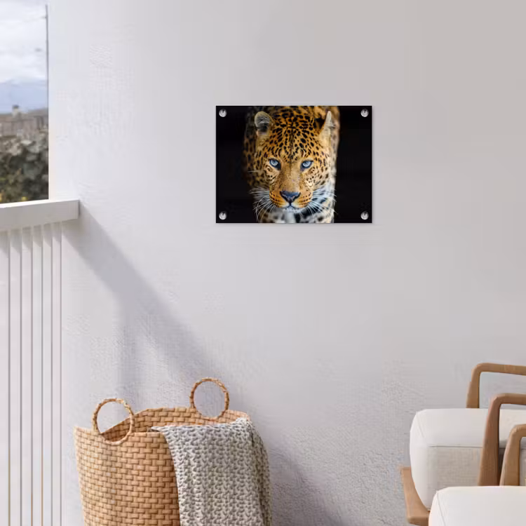 Luipaard - Dieren - Portret - Wilde dieren - Zwart tuinposter los doek klein -sfeer8