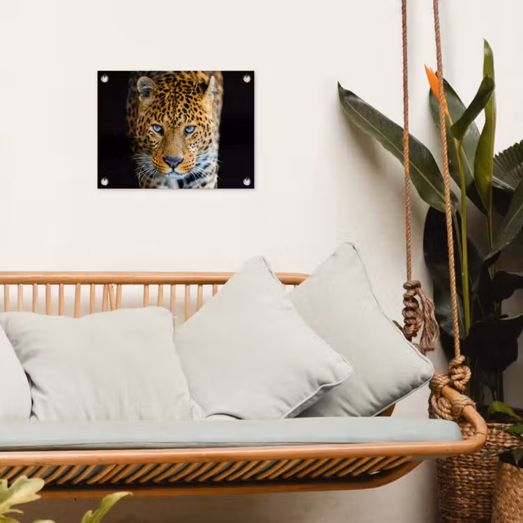 Luipaard - Dieren - Portret - Wilde dieren - Zwart tuinposter los doek klein -sfeer7