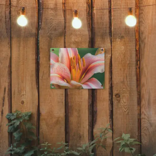 Lelie - Close up - Lichtroze tuinposter los doek klein -sfeer1