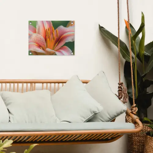 Lelie - Close up - Lichtroze tuinposter los doek klein -sfeer7