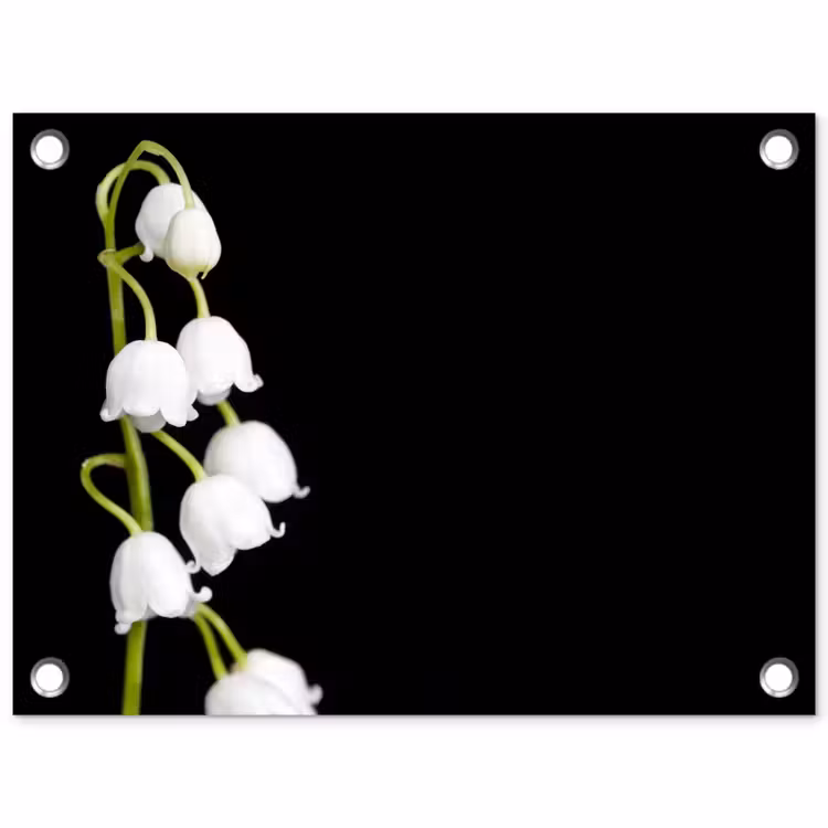 Lelietjes van dalen - Bloemen - Zwart - Flora tuinposter los doek klein -3d