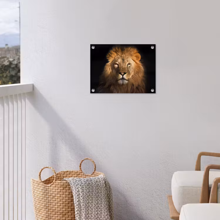 Leeuw - Dieren - Zwart - Licht - Bruin - Portret tuinposter los doek klein -sfeer8