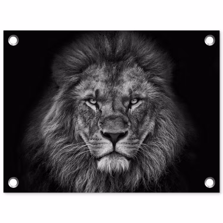 Leeuw - Dieren - Zwart - Wit tuinposter los doek klein -3d