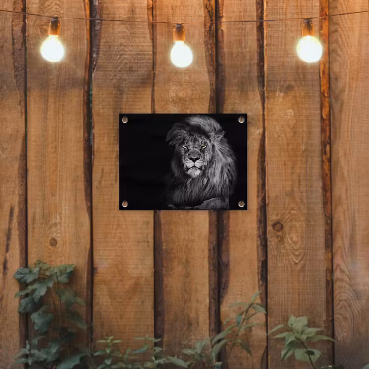 Leeuw - Ogen - Oranje - Zwart wit - Dieren - Portret tuinposter los doek klein -sfeer1