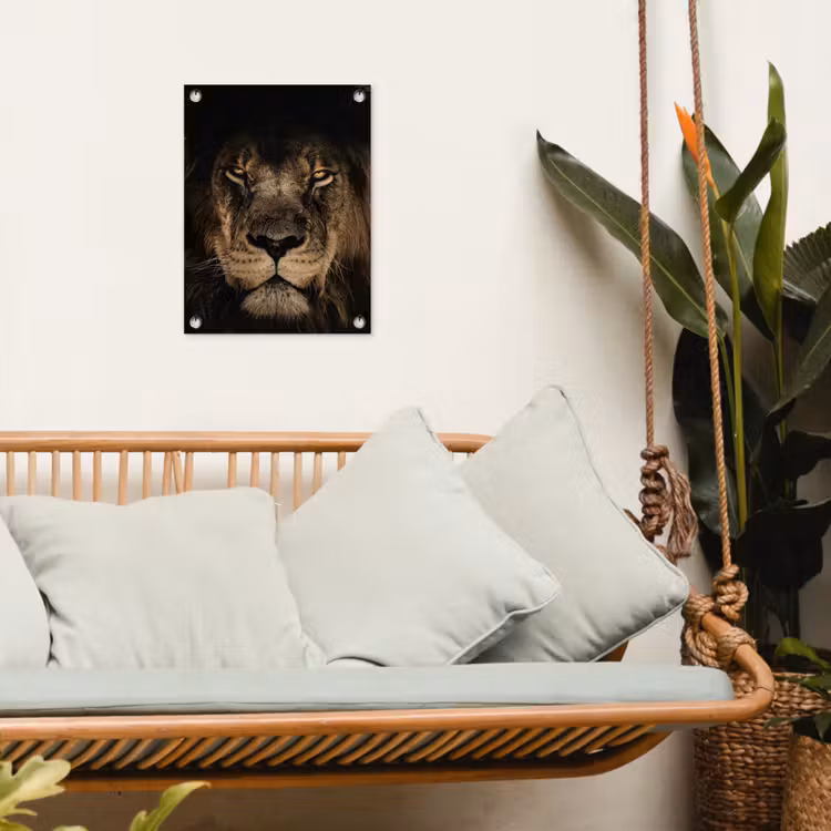 Leeuw in het schaduwlicht tuinposter los doek klein -sfeer7