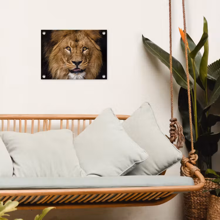 Leeuw - Portret - Zwart - Dieren tuinposter los doek klein -sfeer7