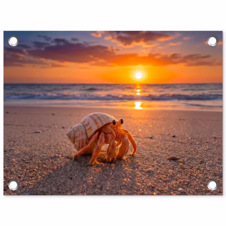 Kreeft - Strand - Natuur - Zonsondergang - Oranje tuinposter los doek klein -3d