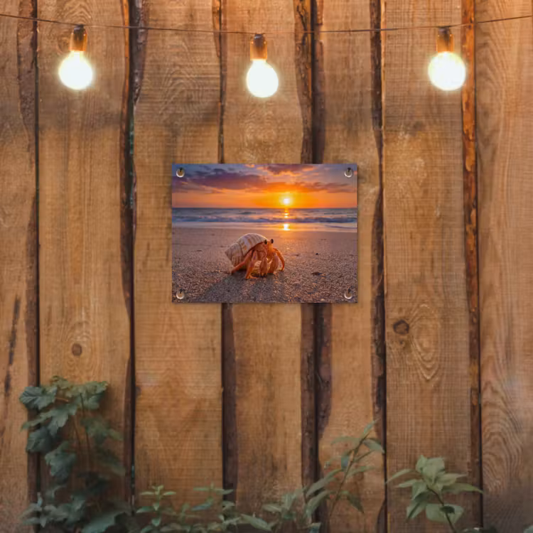 Kreeft - Strand - Natuur - Zonsondergang - Oranje tuinposter los doek klein -sfeer1