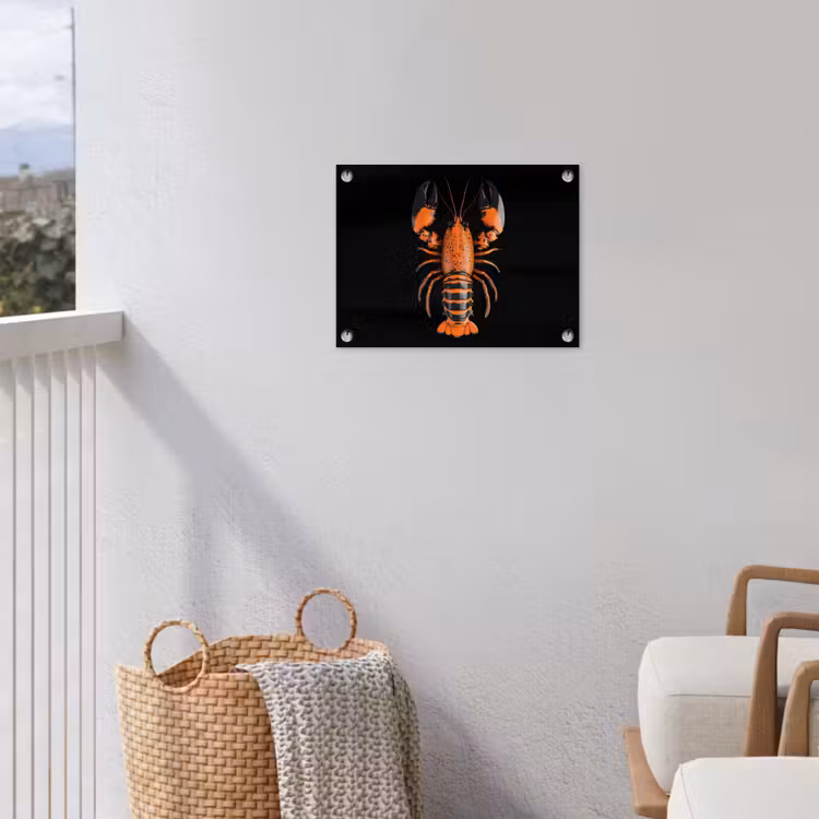 Kreeft - Oranje - Zwart - Modern tuinposter los doek klein -sfeer8